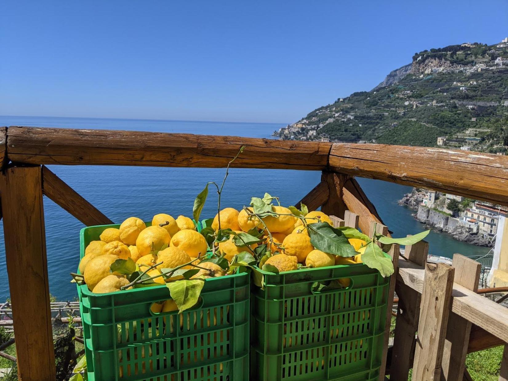 Casa Vacanze Freeholiday House Minori Exterior photo